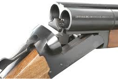 Colt Single Action Army | Gun Wiki | Fandom