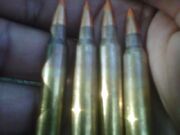 File:5.56 x 45mm NATO bullet casings-ar 5to4-fs PNr°0273.jpg - Wikipedia