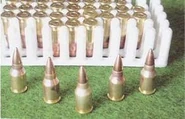 A few samples of the 5.56×21mm