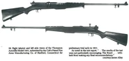 Fixed magazine variants.