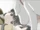 Gunslinger Girl Episode 08