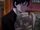 Gunslinger Girl -IL TEATRINO- Episode 13