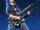Bumblefoot