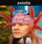 Axoltl