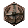 Pilot Badge5