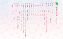 Jagdtiger's tank sheet from the official website.