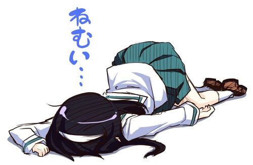 Mako sleeping