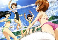 Beach Volleyball