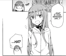 Sheska confrontation