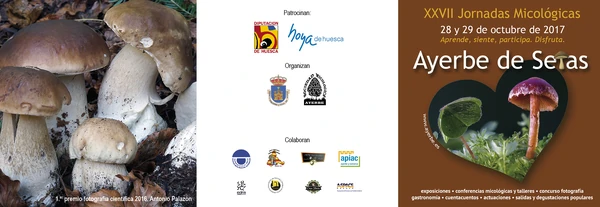 La semaine mycologique d'Ayerbe.