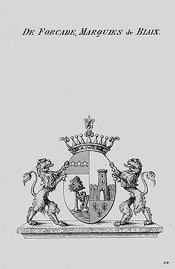 Image forcade de biaix 1