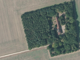 Notre maison et le parc boisé.