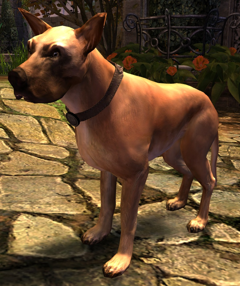 Copper Npc ギルドウォーズ2 日本語版 Wiki Fandom Copper Npc ギルドウォーズ2 日本語版 Wiki Fandom