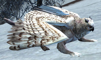 Owl Griffon Sire ギルドウォーズ2 日本語版 Wiki Fandom Owl Griffon Sire ギルドウォーズ2 日本語版 Wiki Fandom