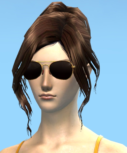 Aviator Sunglasses ギルドウォーズ2 日本語版 Wiki Fandom