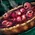 Omnomberry Tart