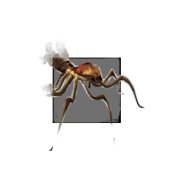 Juvenile Cave Spider ギルドウォーズ２ 日本語版 Wiki Fandom