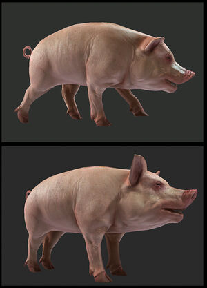 Pig render