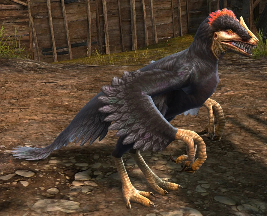 Black Raptor | ギルドウォーズ2 日本語版 Wiki | Fandom