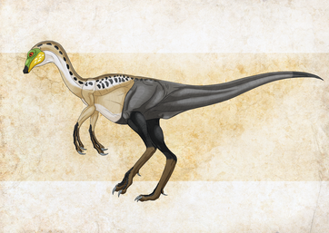 Struthiomimus, illustration. The fastest dinosaur runners were the  long-tailed ostrich-like dinosaurs such as Struthiomimus Stock Photo - Alamy