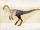 Struthiomimus