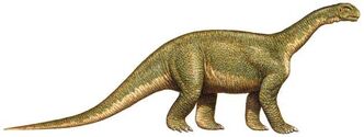 Jainosaurus,1