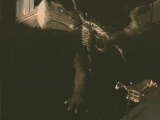 Rhedosaurus