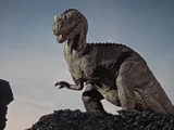 Ceratosaurus