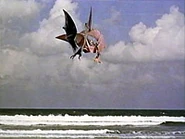 Rhamphorhynchus fighting Pteranodon.