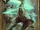 Ciri