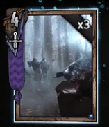 Clan an Craite Raider