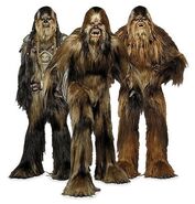 Three Wookiee