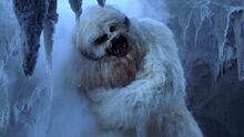 Mark-hamill-says-luke-just-meant-to-scare-the-wampa-in-empire-strikes-back-not-dismember-it-social