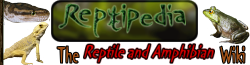 Reptipedia banner