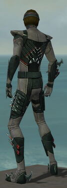 Assassin Seitung Armor M gray back.jpg