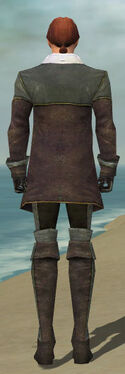 Mesmer Tyrian Armor M gray back