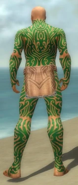 Monk Flowing Armor M dyed back