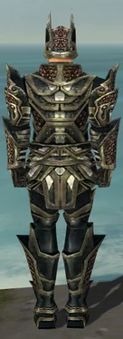 Warrior Elite Kurzick Armor M gray back
