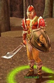 An , a typical soldier of the Ascalon Army