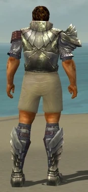 Warrior Templar Armor M gray chest feet back