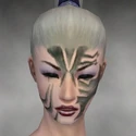 Necromancer Elite Luxon Armor F gray head front