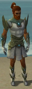 Paragon Monument Armor M gray front