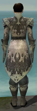 Elementalist Flameforged Armor M gray back