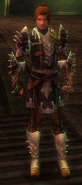 Ebon Vanguard - Guild Wars Wiki (GWW)