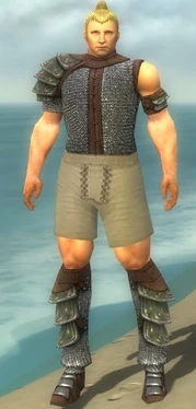 Warrior Krytan Armor M gray chest feet front