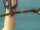 Accursed Staff
