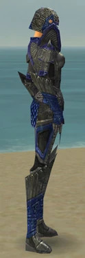 Warrior Elite Platemail Armor F dyed side