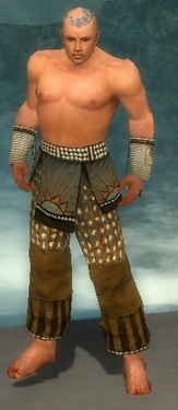 Monk Sunspear Armor M gray arms legs front