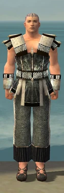Monk Elite Sunspear Armor M gray front