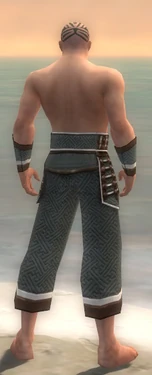 Monk Elite Judge Armor M gray arms legs back